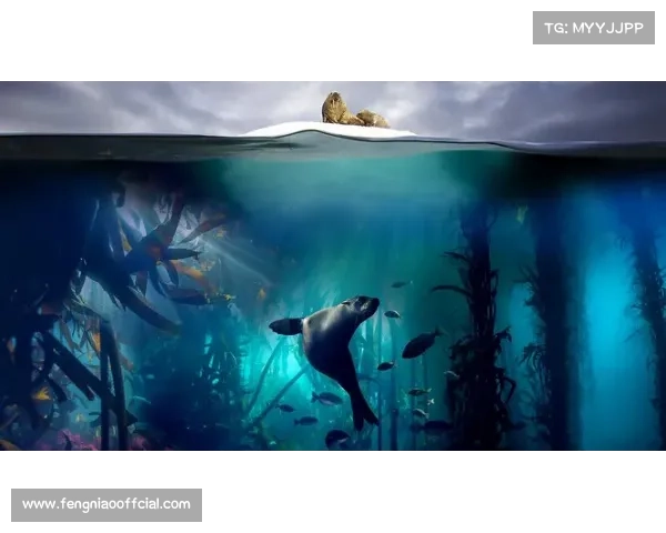 电视转播机位布置完成，水下摄影捕捉转身细节